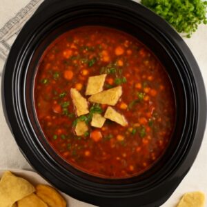 Recipe for chicken tortilla soup using crock pot and slow cooker