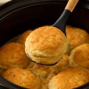 Soup bowls with lids for crockpot soups and chicken stew